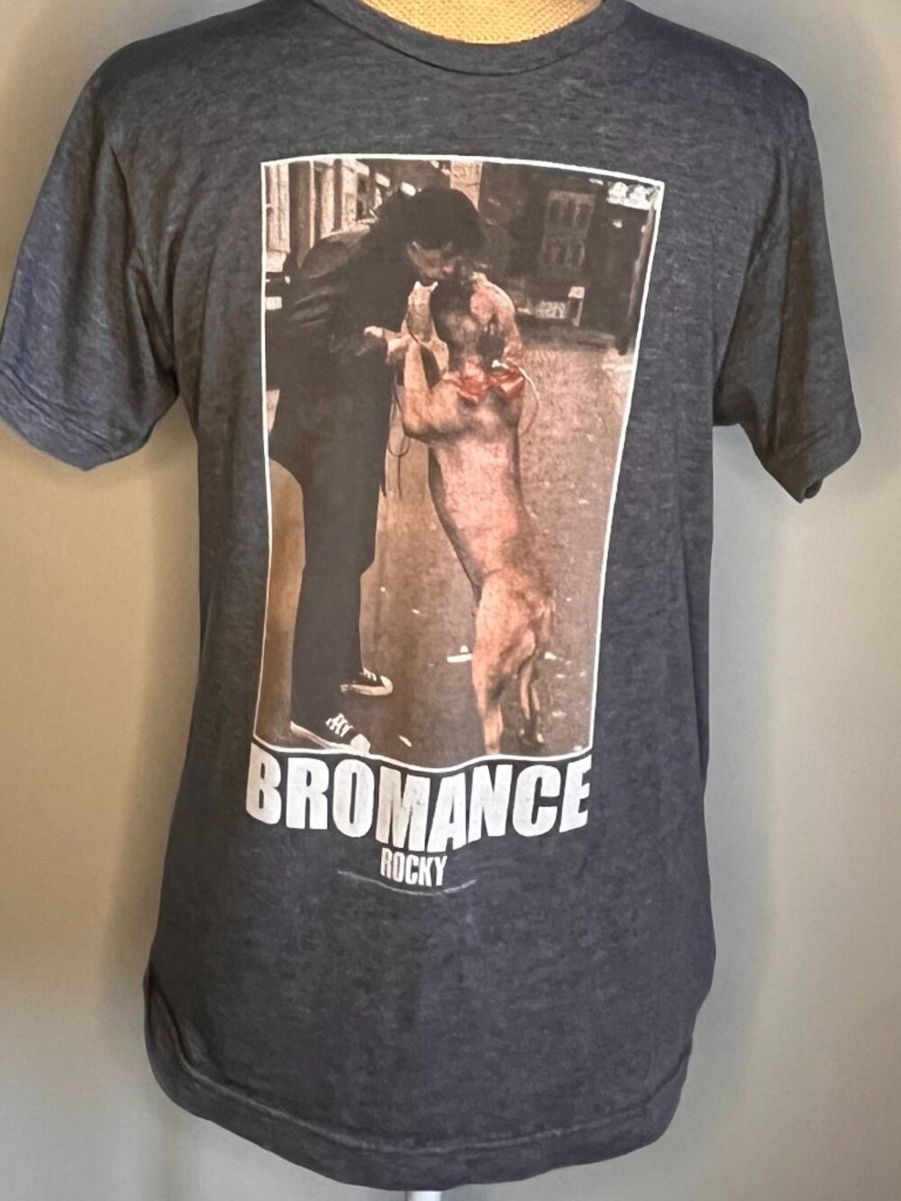 Rocky Balboa T Shirt Mens Medium Charcoal Heather Bromance Butkus Dog Stallone